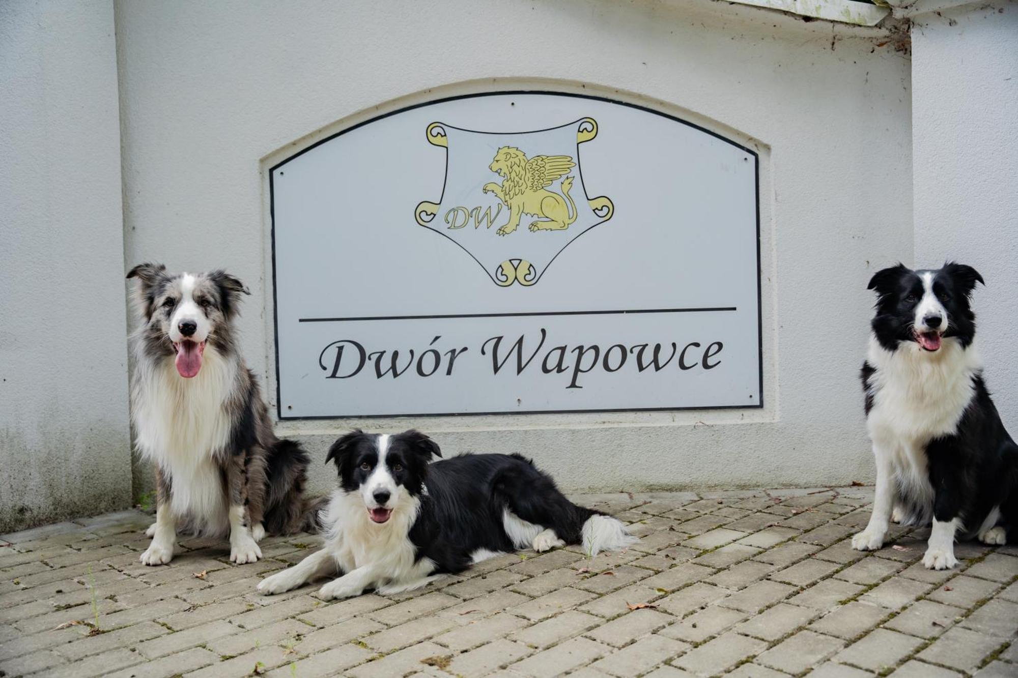 Dwor Wapowce Hotel Luaran gambar